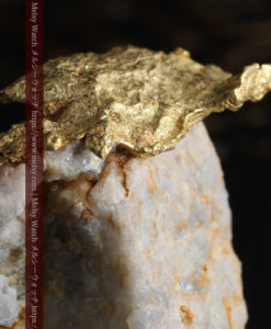 12.03gの非常に珍しいリーフ状のゴールドを冠した石英と自然金-G0327-4