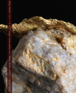 12.03gの非常に珍しいリーフ状のゴールドを冠した石英と自然金-G0327-5