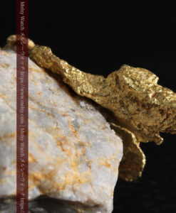 12.03gの非常に珍しいリーフ状のゴールドを冠した石英と自然金-G0327-6