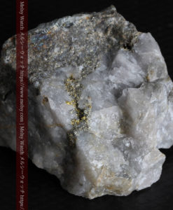 25.63gの石英の中に流れ星のように見える粒子状の美しい自然金-G0329-13