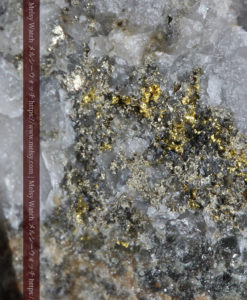 25.63gの石英の中に流れ星のように見える粒子状の美しい自然金-G0329-2