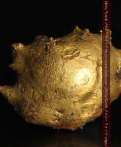 2.48gのぷっくり膨れたカニのような形の自然金-G0344-1