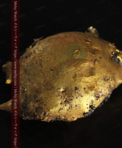 2.48gのぷっくり膨れたカニのような形の自然金-G0344-10