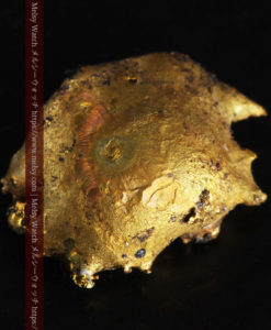 2.48gのぷっくり膨れたカニのような形の自然金-G0344-9