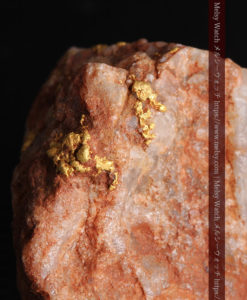 40gの大きな石英の中に20点以上広がる自然金-G0360-3