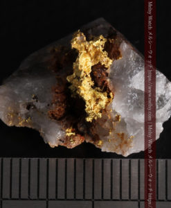 3.31gの石英の谷間から飛び出している自然金-G0372-13