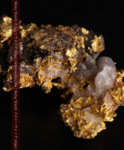 1.71gの小さな石英などを含む個性的な形の自然金-G0384-7