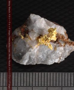 4.39gの石英から飛び出す立体的な自然金-g0386-13