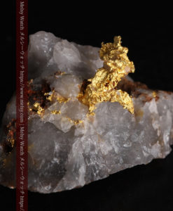 4.39gの石英から飛び出す立体的な自然金-g0386-5