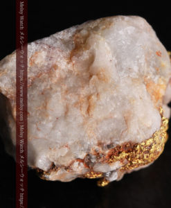 9.7gの石英から湧き出すような姿の自然金-G0387-11