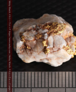 9.7gの石英から湧き出すような姿の自然金-G0387-13