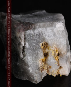 33.7gの大きな石英の谷間に走る綺麗な自然金-G0399-7