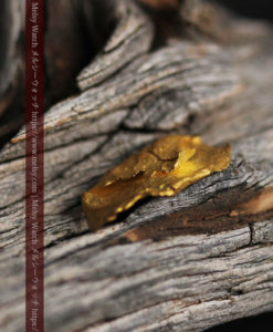 0.97gのクラッチバッグのような形をした薄片金・自然金-G0424-3