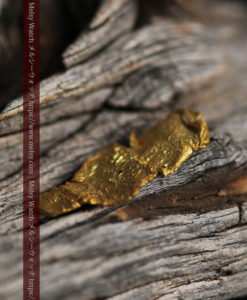 0.67gの非常に薄い面の大きな薄片金・自然金-G0426-5