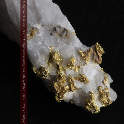 7.99gの大きな牙のような形の石英に見える粒状の自然金-G0432-1
