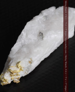 7.99gの大きな牙のような形の石英に見える粒状の自然金-G0432-16