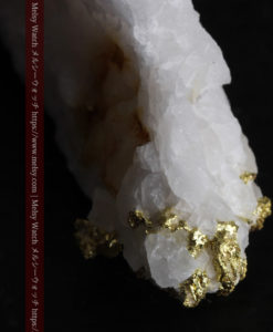 7.99gの大きな牙のような形の石英に見える粒状の自然金-G0432-4